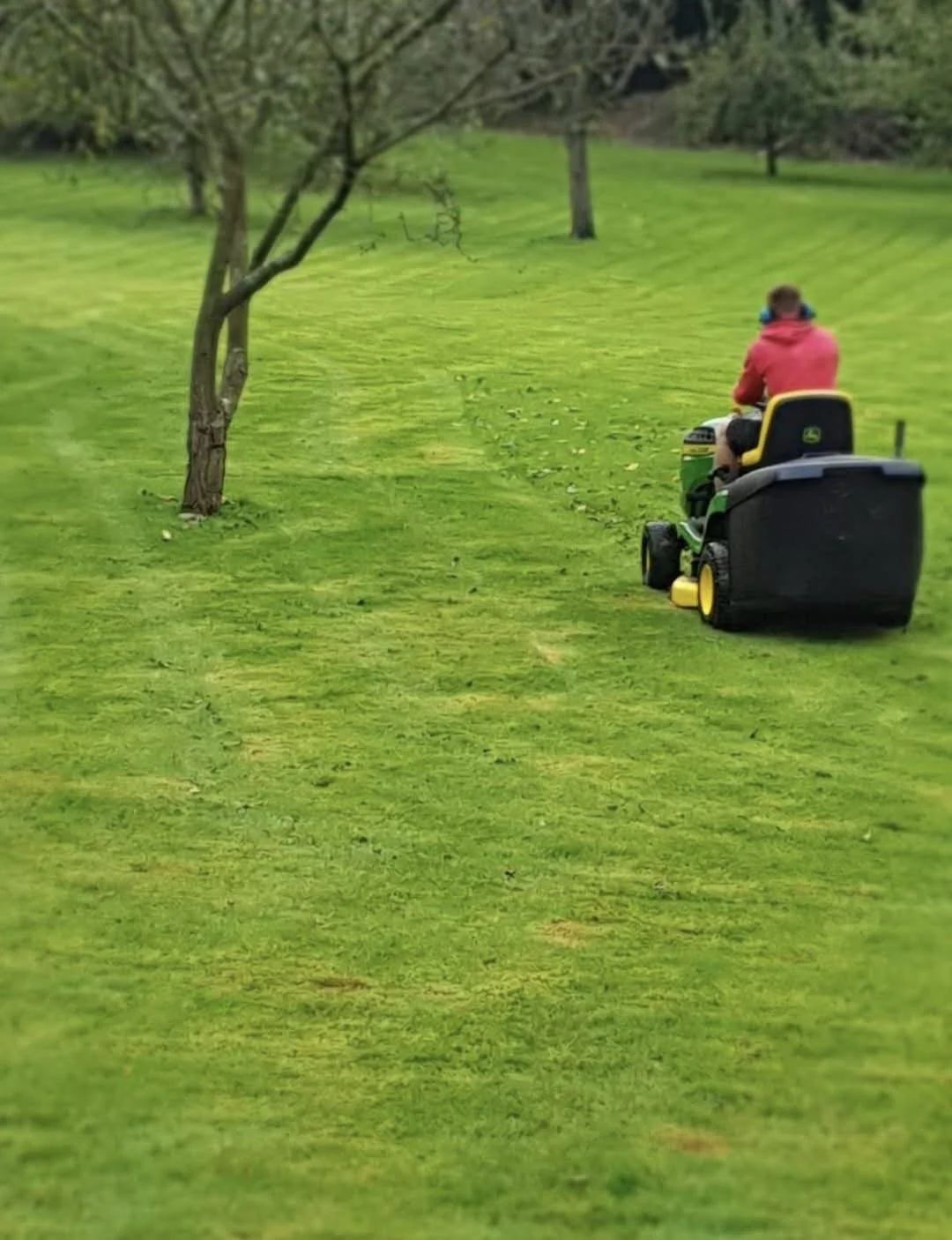 Garden Maintenance Project